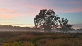 Plum Valley Sunrise_Gettysburg National Military Park_24Sept15_Photo by Whitney V Myers