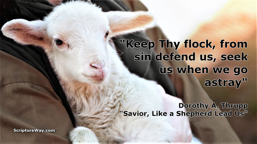 The Good Shepherd Seeks and Saves Lost Sheep - Copyright David Padfield - Used under license