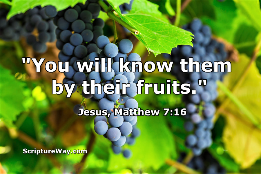 You Will Know Them by Their Fruits - Matthew 7:16 - 123RF Photo - Used under license